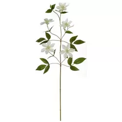 /Grana clematis 78cm 66639444 /Grana clematis 78cm 66639444